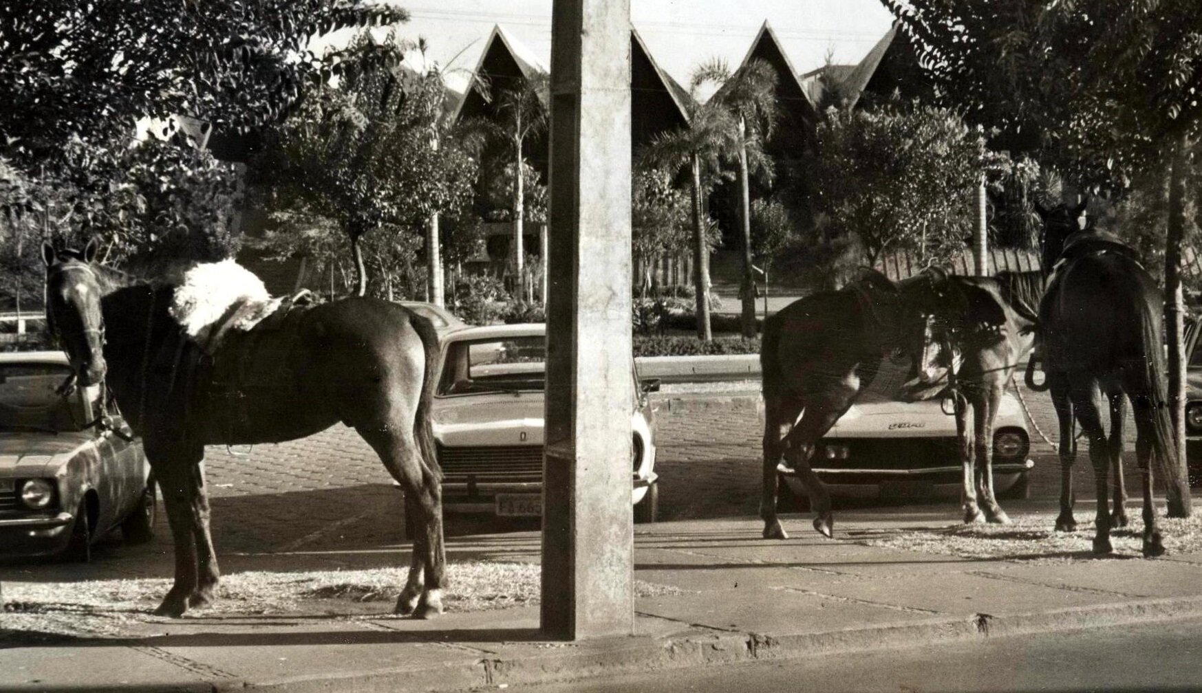 Estacionamento da praça da Catedral - Década de 1970